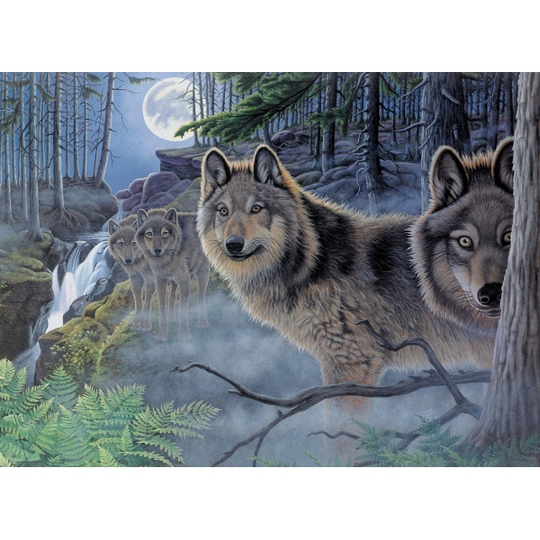 304109.jpg